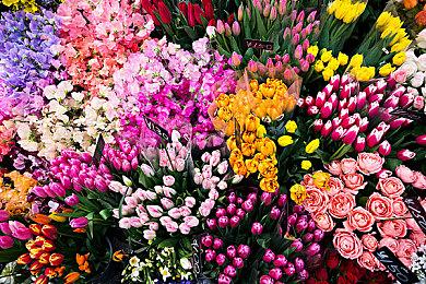 好评如潮点击叙事《诺科》，新增中文支持和游戏手柄支持