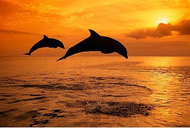 《黑神话：悟空》公布2周年 玩家期待新演示：有女妖精吗？